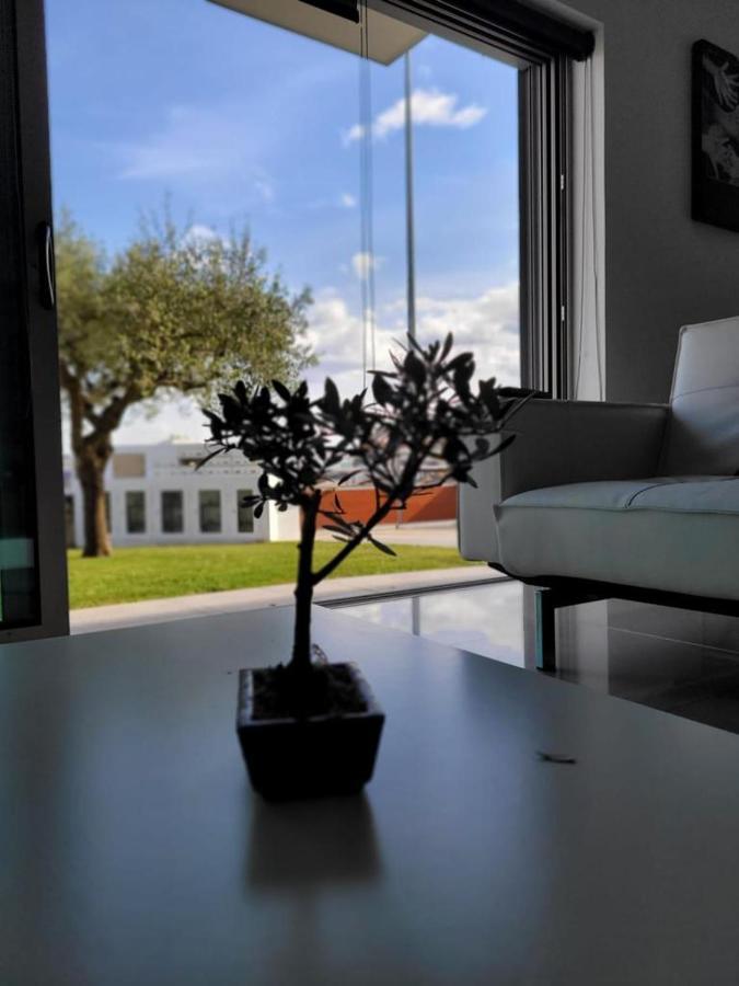 Olive Ap. Apartment Torreira Bagian luar foto